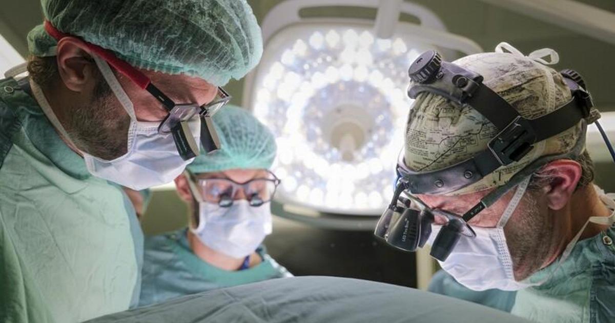 A ottantant'anni dona il rene e un nuovo futuro alla figlia: l'intervento ad Udine